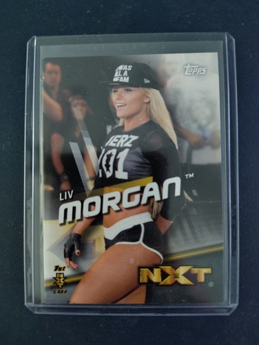 2016 topps wwe divas - wwe,