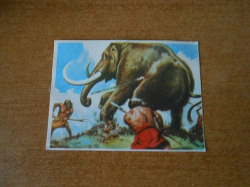 Figurina storia delle - storia,