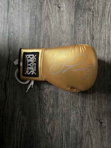 Guantone boxe floyd - guantone, da