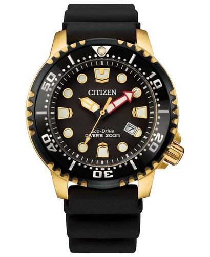 Citizen accessori uomo - accessori,
