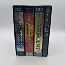The Divergent Series by