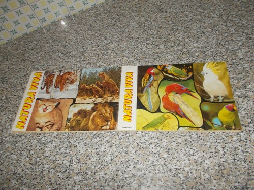 Album natura viva ediboy - viva, ed.ediboy