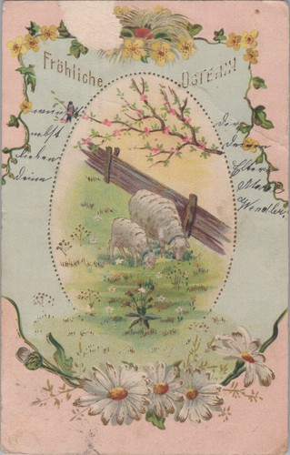 Cartolina buona - cartolina,,