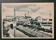 Cartolina Propaganda Mussolini