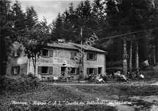 Cartolina postcard maresca - cartolina,