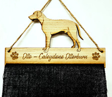 Weimaraner cane cucciolo mm - weimaraner,