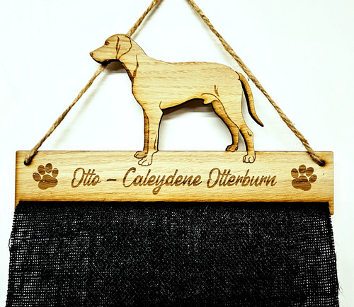 Weimaraner cane cucciolo mm - cucciolo,