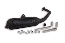 MARMITTA WILD LION OMOLOGATA