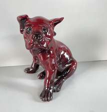 CANE GUIDO CACCIAPUOTI