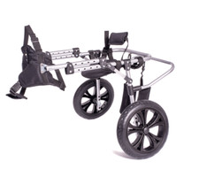 Sedia a rotelle per cani sedia