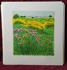 Azzinari Franco Litografia Originale Firmata Cm 35×35 Certificato A Norma