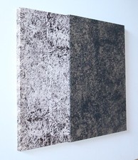 Sandro Martini - Rosaspina di Jacob e Wilhelm Grimm. Edizioni del Milione 1972