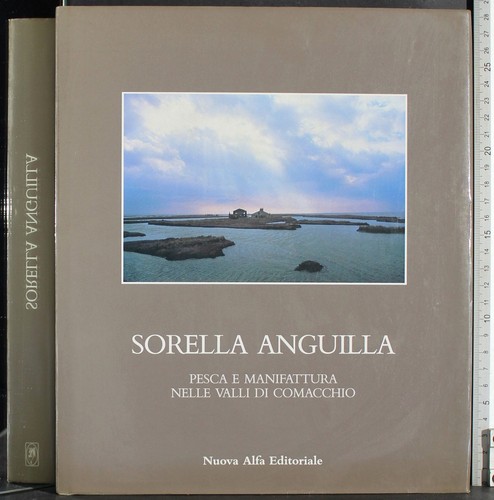 Sorella anguilla cecchini - sorella,