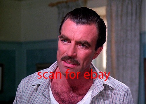 Magnum tom selleck foto - pi,