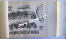 Paléontologie: Mayets, 1908