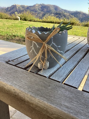 Fioriere pasquali guscio - fioriere,