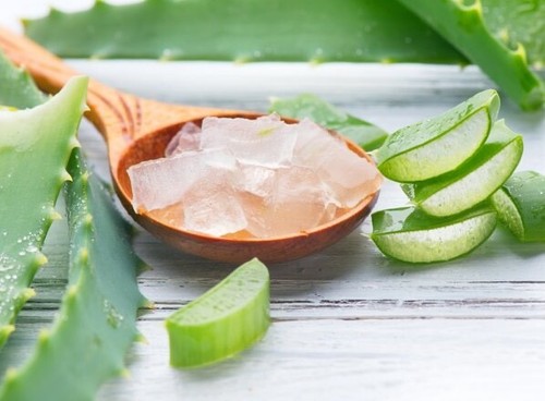 Foglie aloe vera 100 - vera, 100%