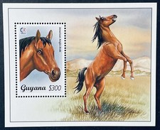 Francobolli cavallo guyana - cavallo,