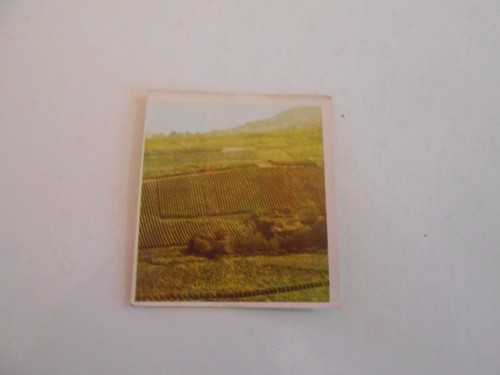 Figurina paesi conoscere - paesi,