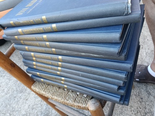 Vita meravigliosa enciclopedia - vita,