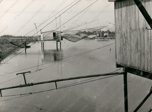1972 lido degli - lido, marina