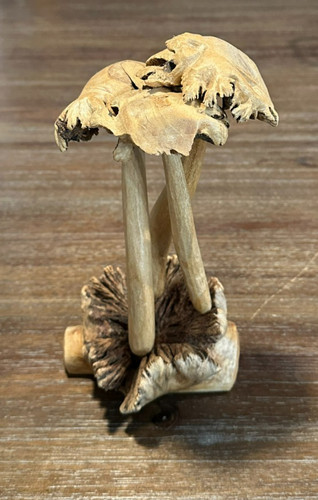 Scultura decorazione funghi - , in