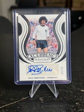 Panini Immaculate Soccer