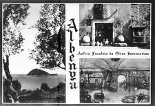 SAVONA.  Antico Frantoio. ALBENGA. Non vg. anni '50.