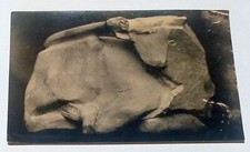 Cartolina (Mostra di Arturo