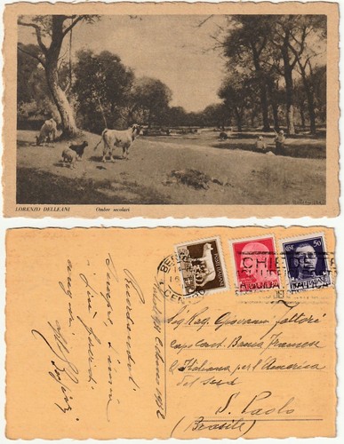 Illustratore artist signed - illustratore,
