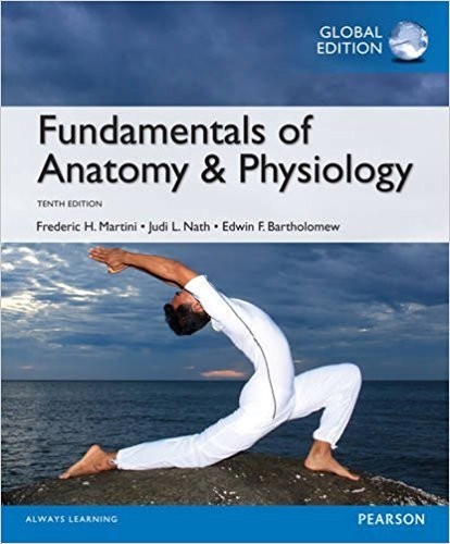 Fundamentals anatomy - of, &