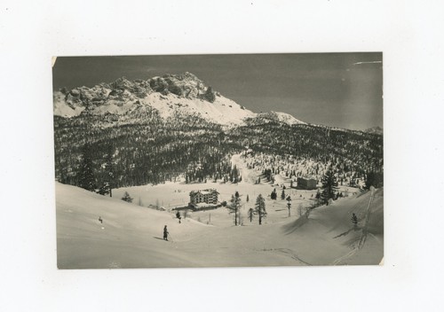 Cartolina misurina belluno - -,