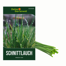 Semi di erba cipollina Medium Leaf - Allium schoenoprasum - semi di alce cipollina