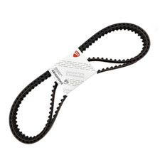 Set Cinghie Distribuzione