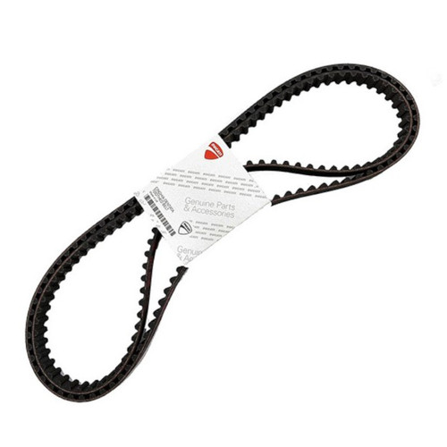 Set cinghie distribuzione - set,
