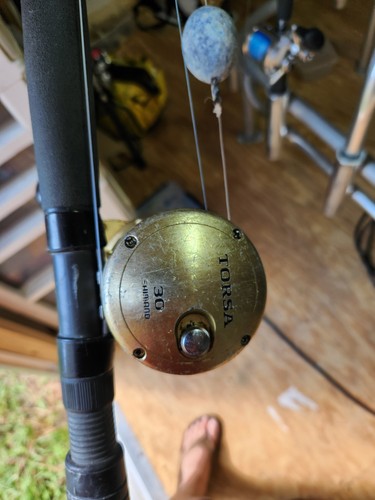 Shimano torsa - torsa, 30