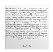 Calamita Frigo Salmi Capitolo