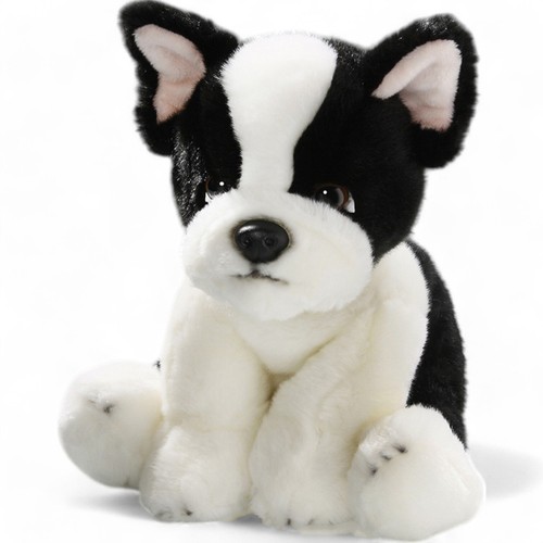 Carl dick bulldog - bulldog, francese