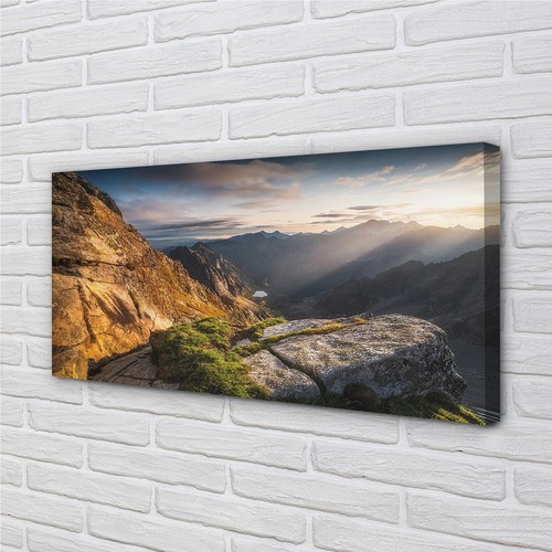Quadro tela tulup - su,