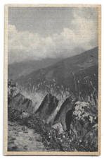 CARTOLINA DI GORIZIA ,TIMBRO MUNICIPIO DI FARRA D'ISONZO  non viaggiata