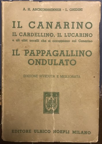 Aschenbrenner canarino il - aschenbrenner,