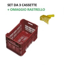 SET 3 CASSETTE PLASTICA FORATA 52X35 AGRICOLA RACCOLTA OLIVE + OMAGGIO RASTRELLO
