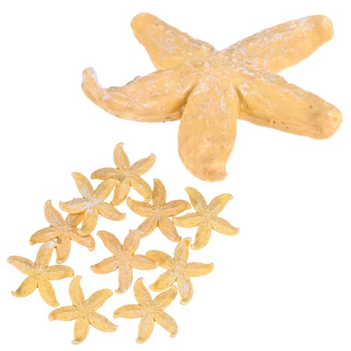 Confezione stelle marine - stelle,