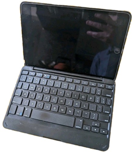 Apple ipad mini - ipad,