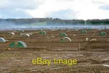 Photo 6x4 Pig farming at Firgo Farm Lower Bullington The smoke was caused c2007