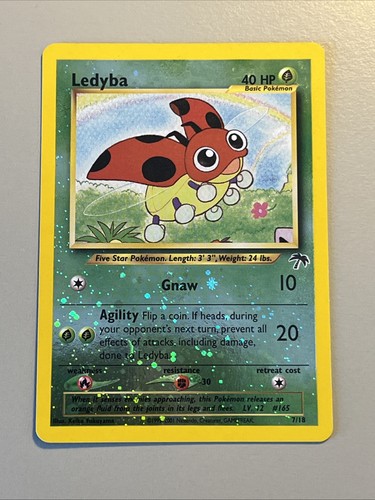 Ledyba southern islands - ledyba,