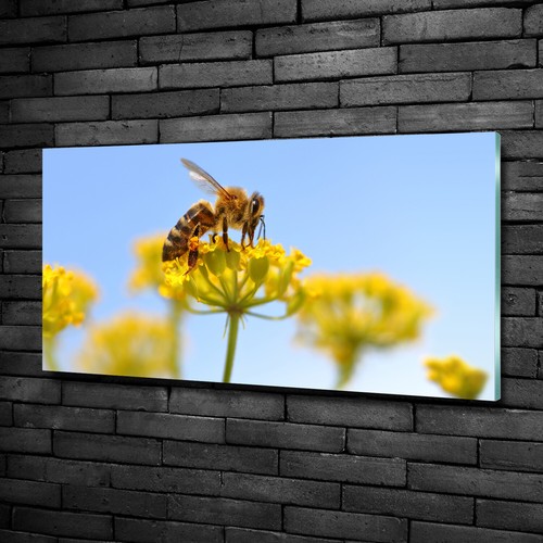 Quadro immagine arte - da, parete