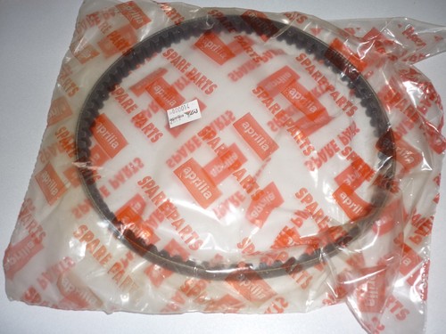 Cinghia trasmissione originale - cinghia,