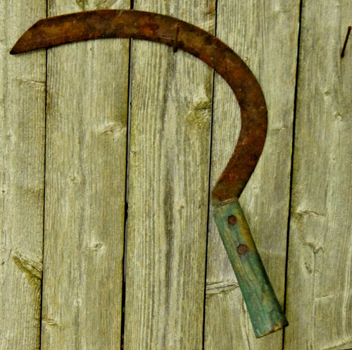 Fienile manico legno fresco - manico,