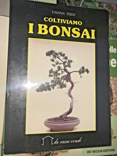 Tridi coltiviamo bonsai - i,